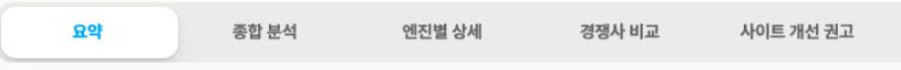 요약부터 사이트 개선 권고까지 다섯 개 리포트 메뉴